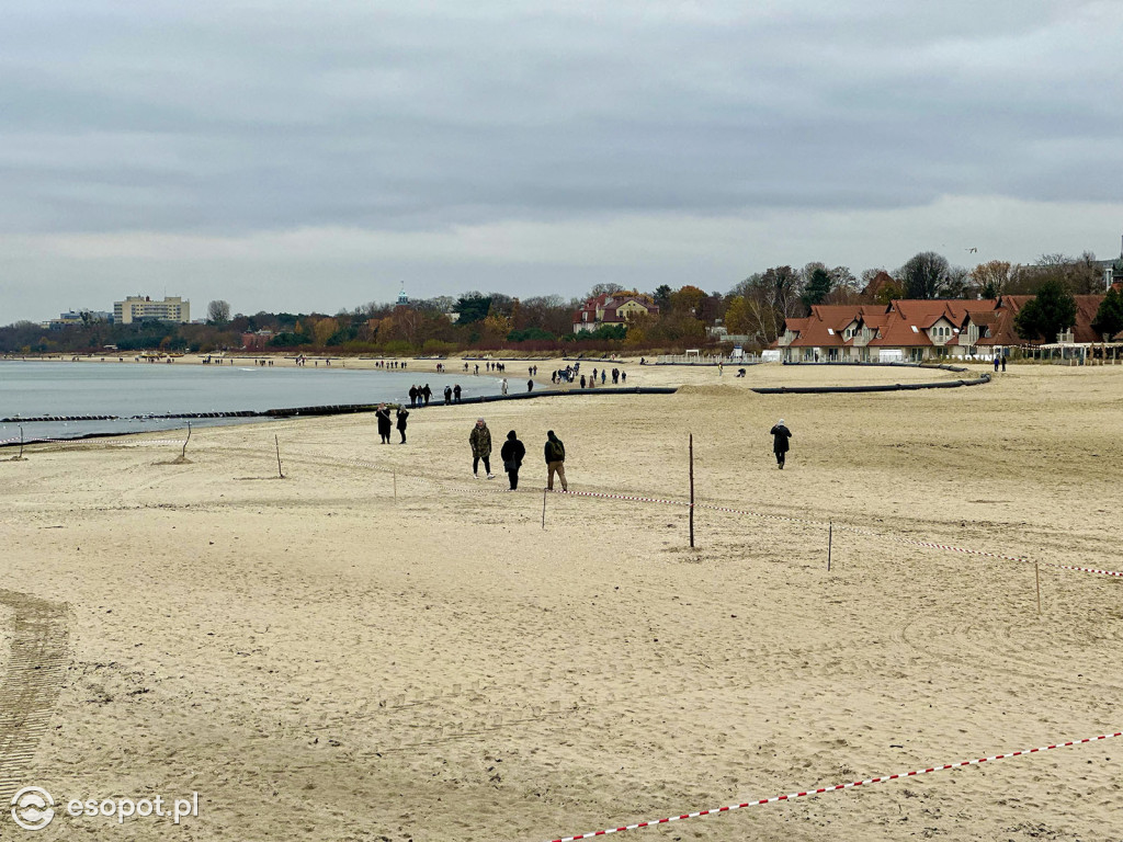 Sopot powoli żegna się ze złotą jesienią! Zobaczcie kurort na zdjęciach [FOTO]