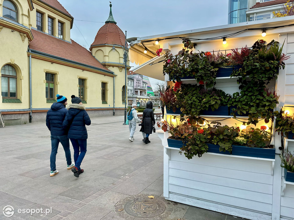 Sopot powoli żegna się ze złotą jesienią! Zobaczcie kurort na zdjęciach [FOTO]