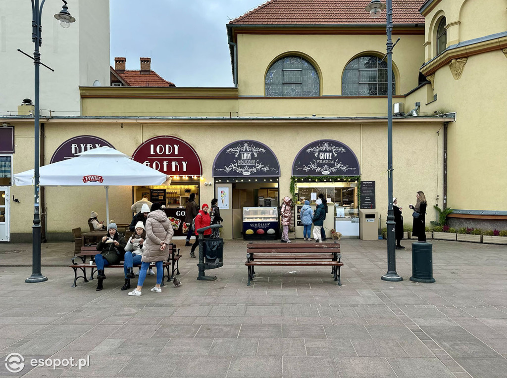 Sopot powoli żegna się ze złotą jesienią! Zobaczcie kurort na zdjęciach [FOTO]