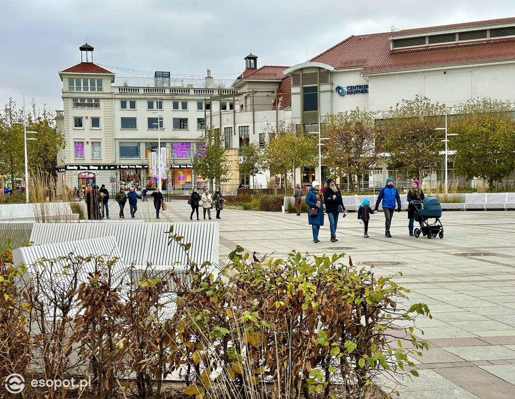 Sopot powoli żegna się ze złotą jesienią! Zobaczcie kurort na zdjęciach [FOTO]