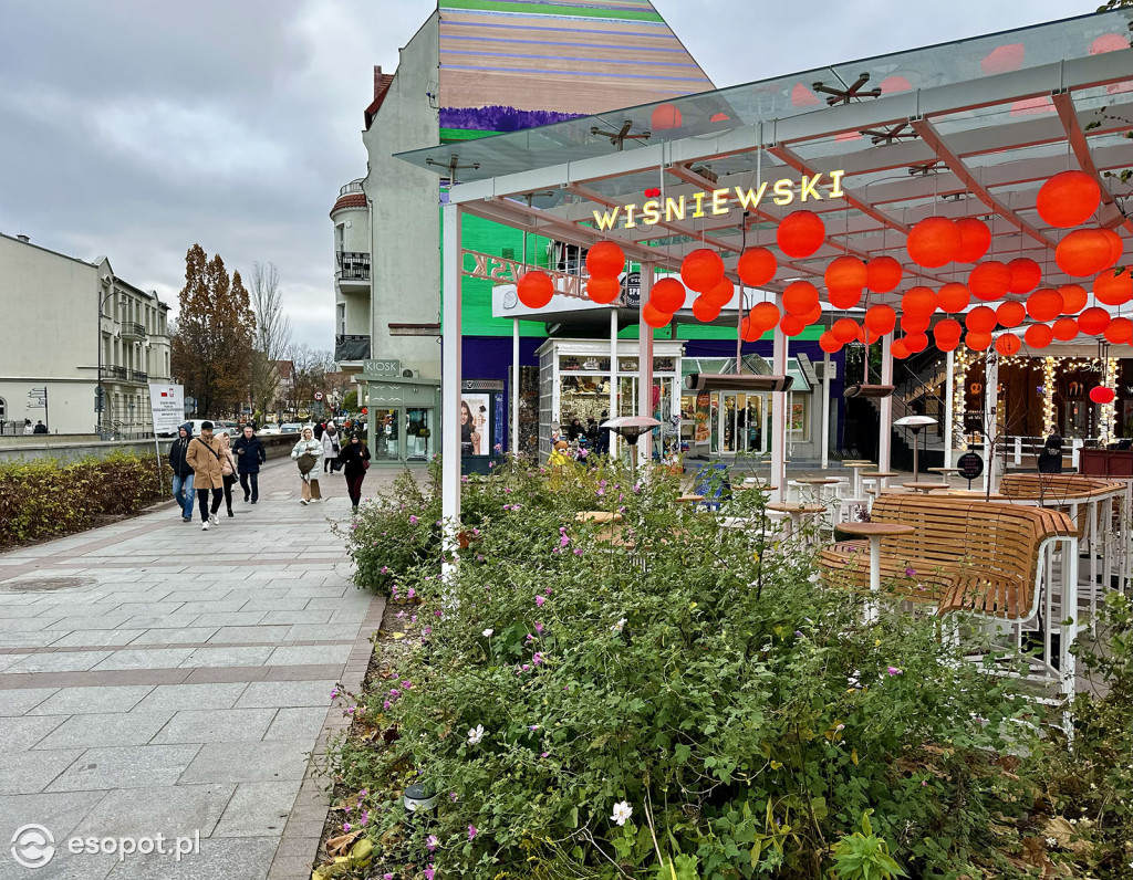 Sopot powoli żegna się ze złotą jesienią! Zobaczcie kurort na zdjęciach [FOTO]