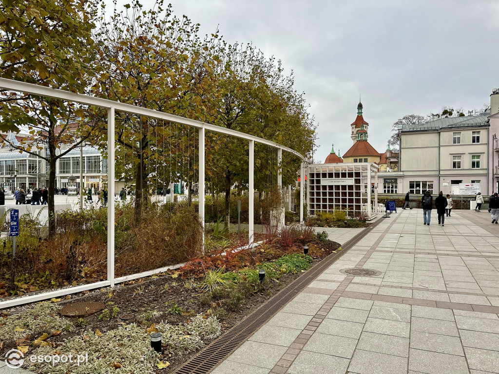 Sopot powoli żegna się ze złotą jesienią! Zobaczcie kurort na zdjęciach [FOTO]