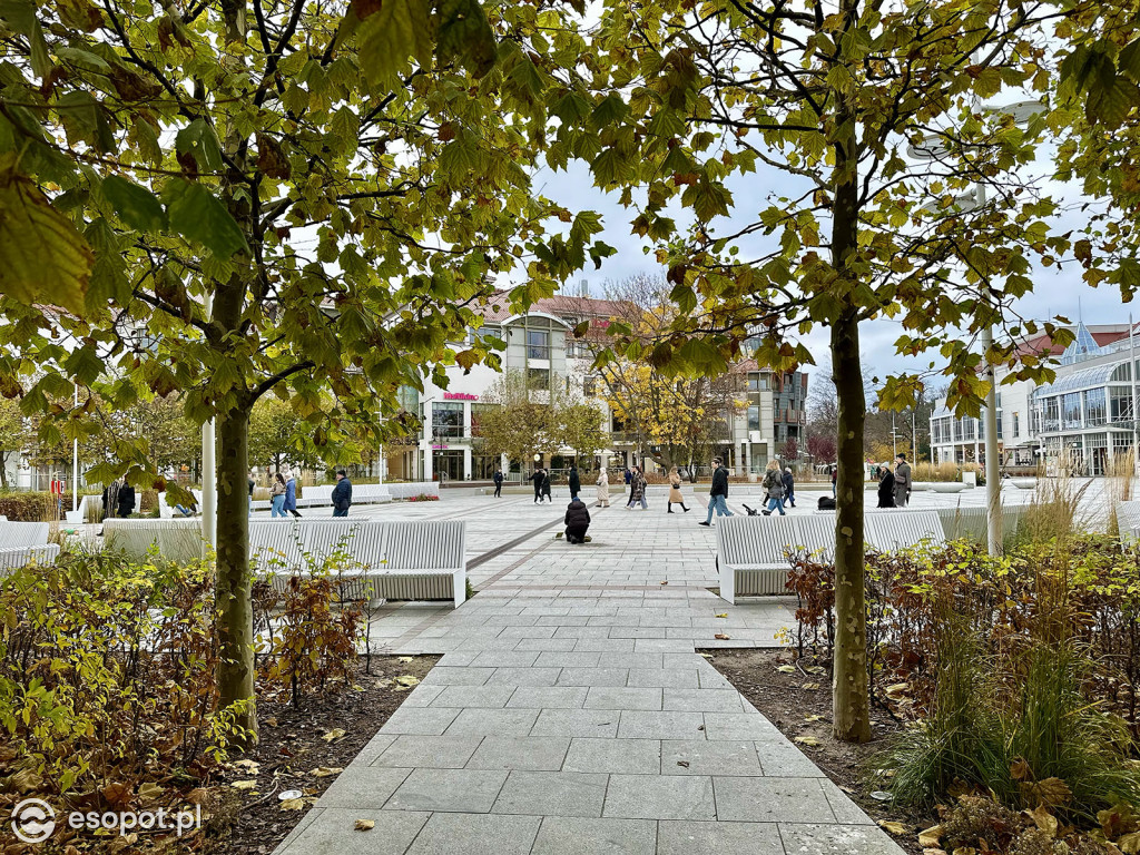 Sopot powoli żegna się ze złotą jesienią! Zobaczcie kurort na zdjęciach [FOTO]