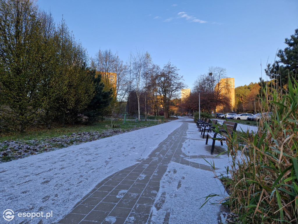 Zimowy falstart na Brodwinie? Pierwszy śnieg zaskoczył sopocian [FOTO]