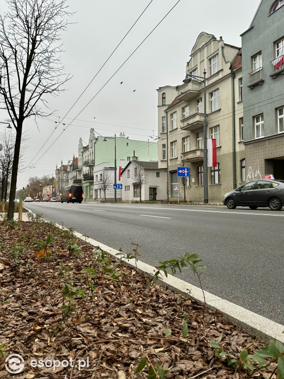 Hit czy kit? Odświeżona Aleja Niepodległości w Sopocie na zdjęciach [FOTO]