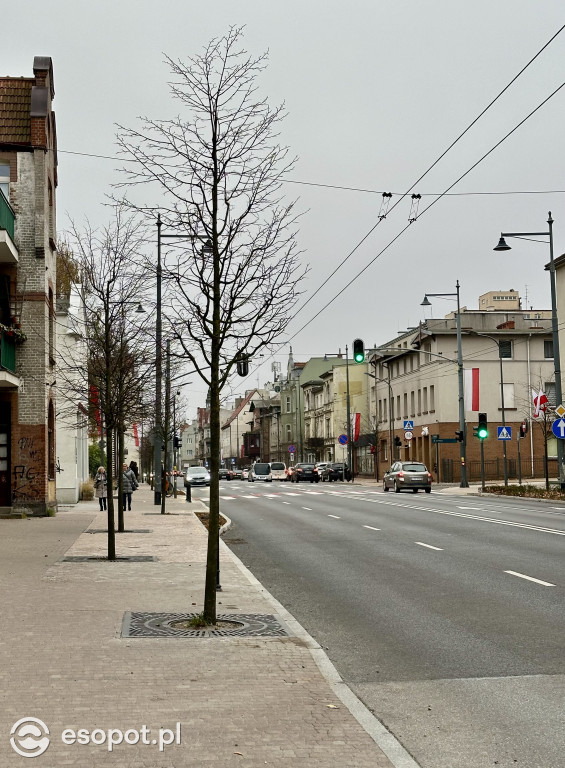 Hit czy kit? Odświeżona Aleja Niepodległości w Sopocie na zdjęciach [FOTO]