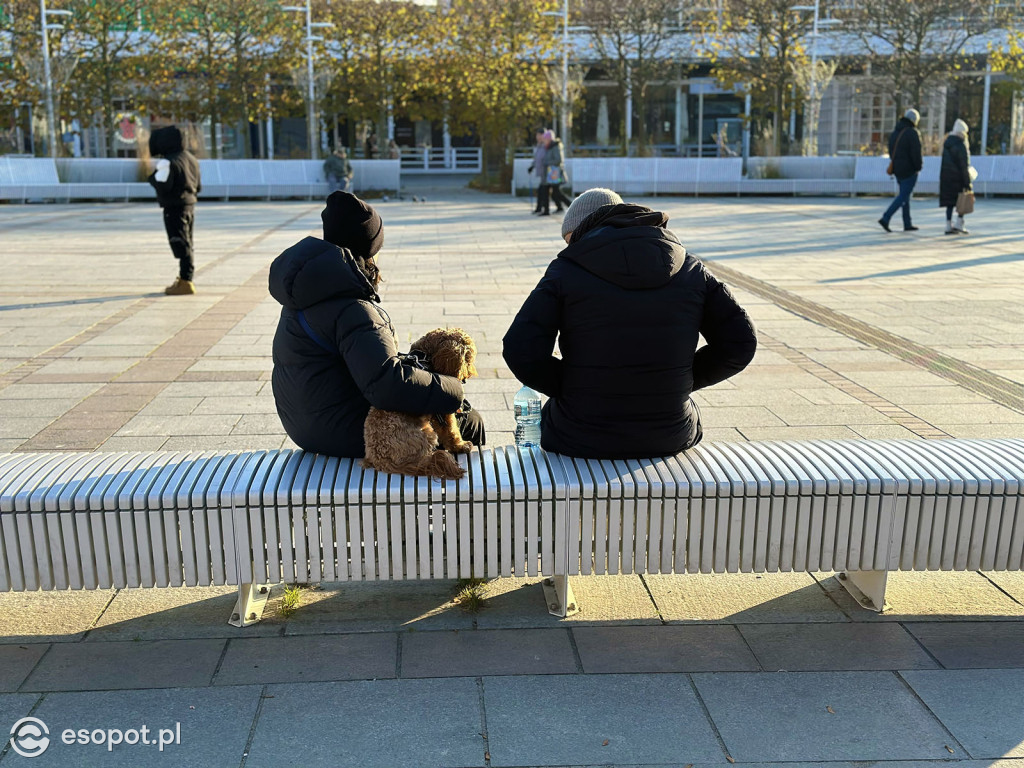 Słoneczny Sopot na zdjęciach w pierwszy weekend grudnia [FOTO]