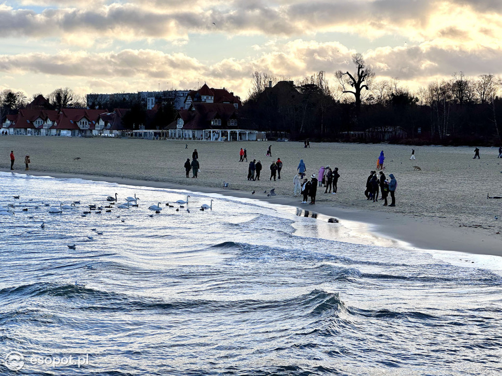 Przedświąteczny Sopot na zdjęciach! Lodowisko, dekoracje i tłumy na molo [FOTO]