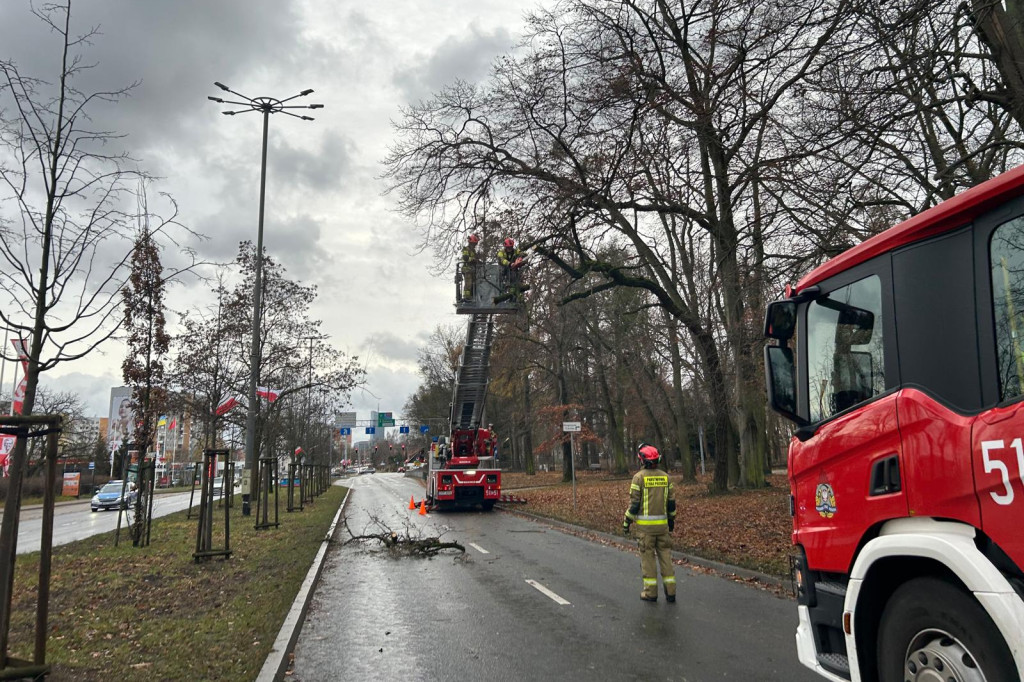 Zobacz skutki wichury w Sopocie! Strażacy interweniowali dziesiątki razy [FOTO]