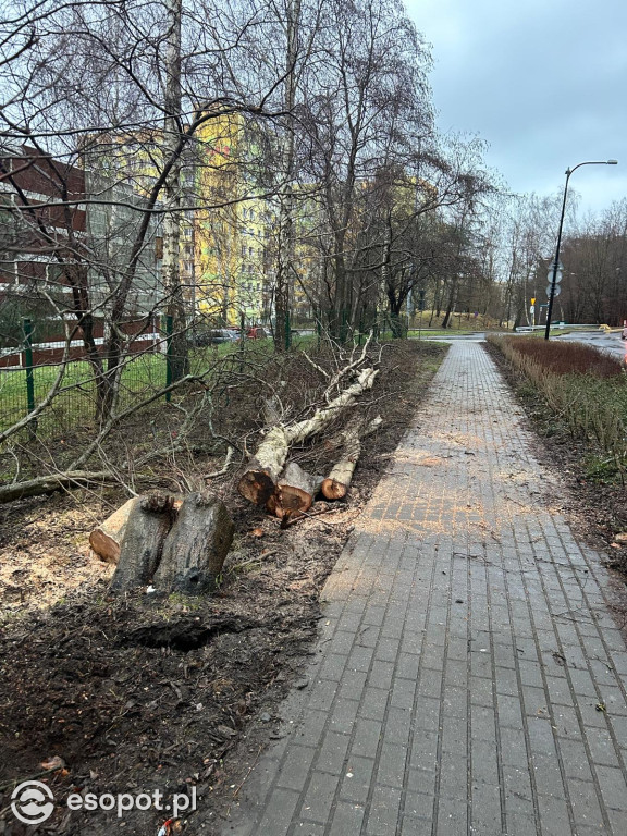 Zobacz skutki wichury w Sopocie! Strażacy interweniowali dziesiątki razy [FOTO]