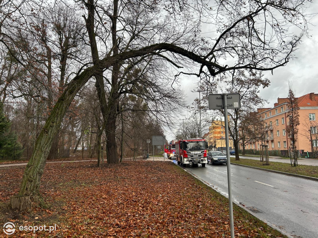 Zobacz skutki wichury w Sopocie! Strażacy interweniowali dziesiątki razy [FOTO]