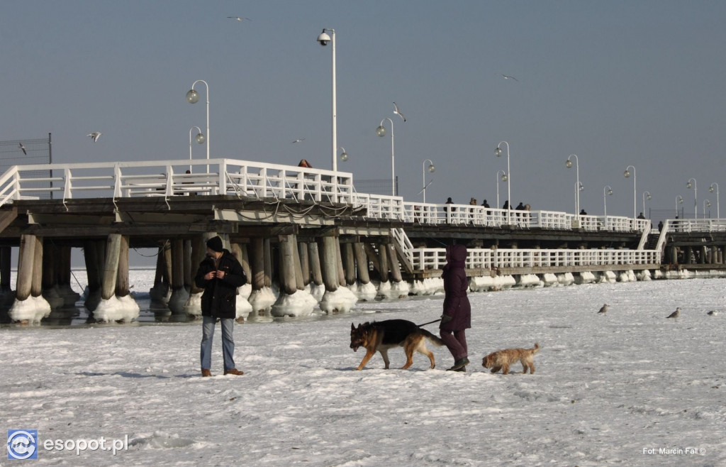 Tamtej zimy Sopot był jak z Krainy Lodu! Morze zamarzło aż po horyzont [FOTO]