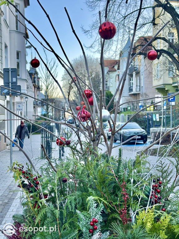 Świąteczny ATAK na Sopot. Turyści wypełnili centrum po brzegi [FOTO]