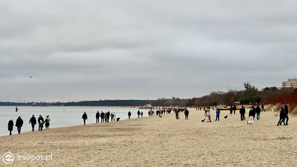 Turystyczne SZALEŃSTWO! Ostatni weekend 2024 roku w Sopocie [FOTO]