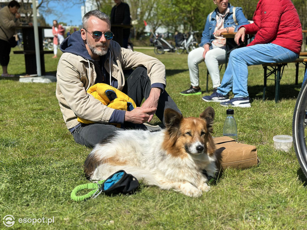 Rodzinny start majówki na Sopockich Błoniach [FOTO]
