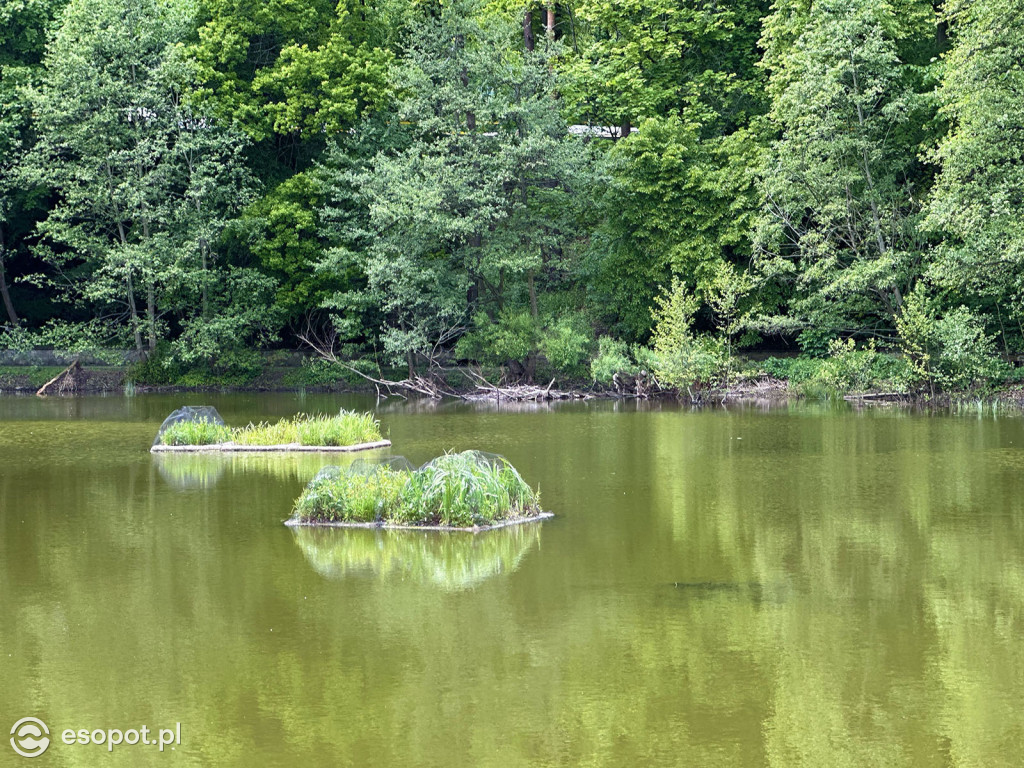 Oaza spokoju kilka minut od Monciaka! Morskie Oko w wiosennej odsłonie [FOTO]