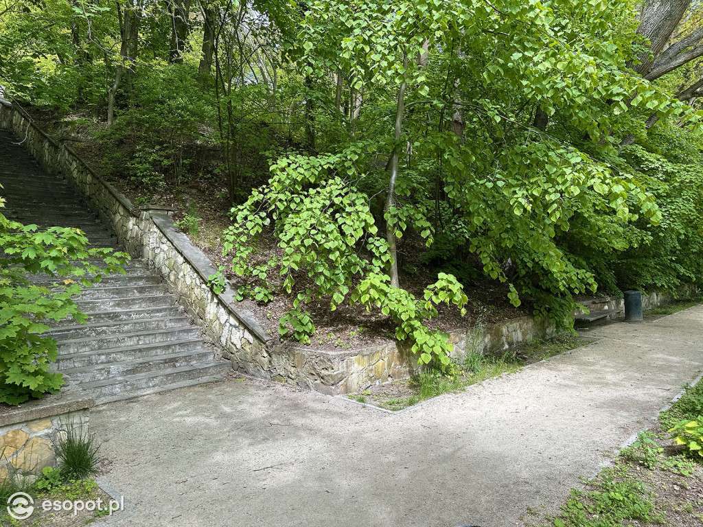 Oaza spokoju kilka minut od Monciaka! Morskie Oko w wiosennej odsłonie [FOTO]