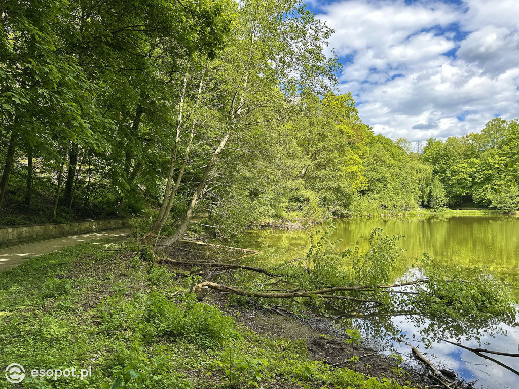 Oaza spokoju kilka minut od Monciaka! Morskie Oko w wiosennej odsłonie [FOTO]