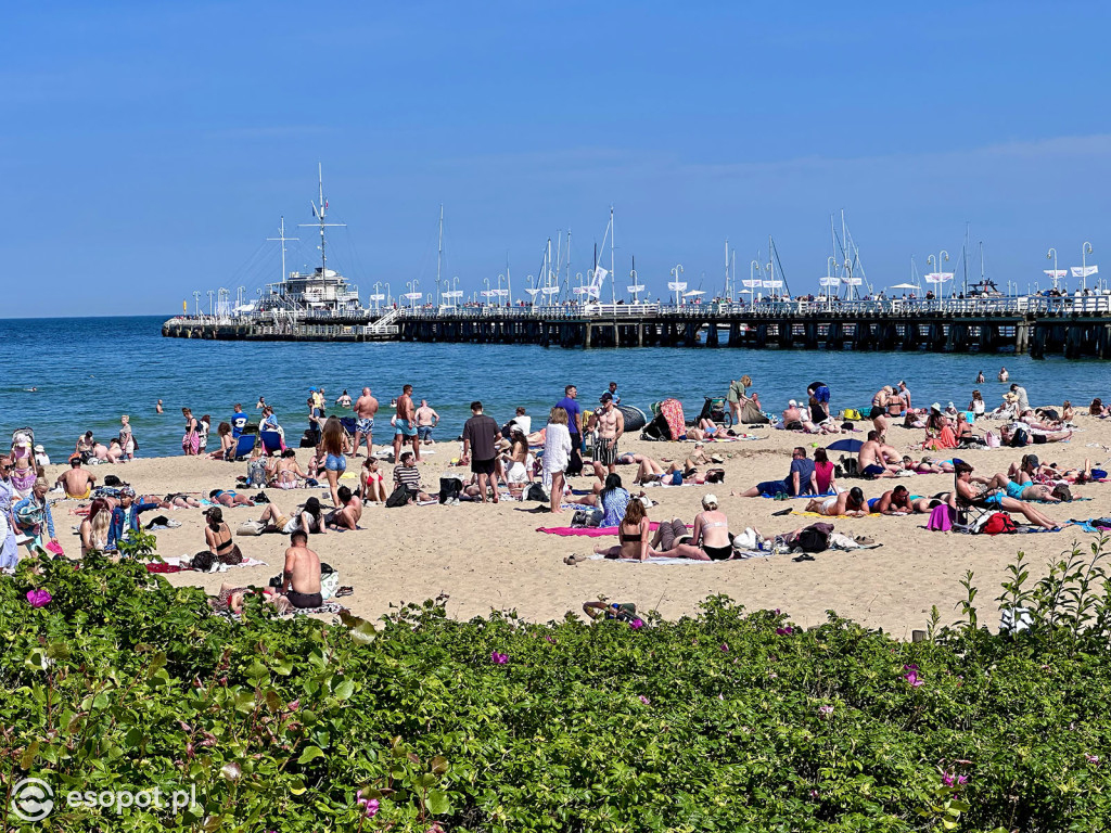 Sopot rozpoczął sezon plażowy! Tłumy turystów ruszyły nad morze [FOTO]