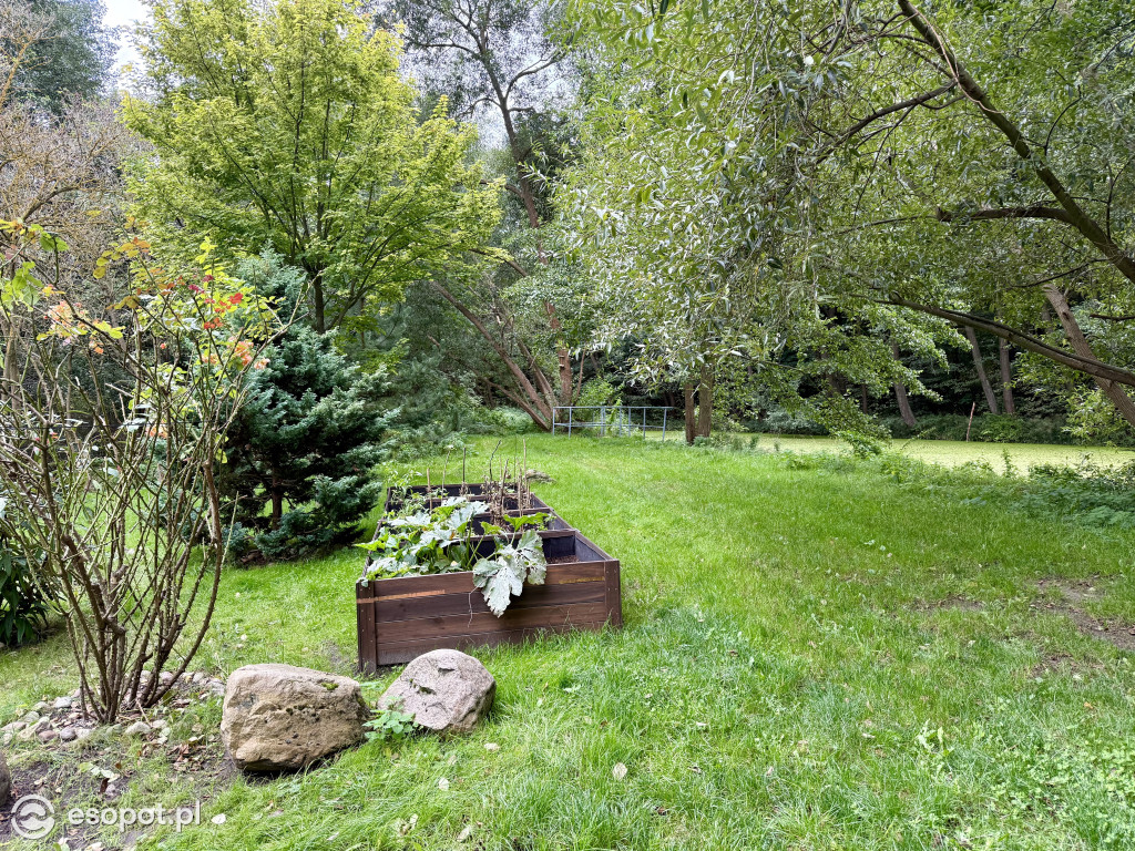 Wyjątkowy zakątek nad Stawami Młyńskimi w Sopocie [FOTO]