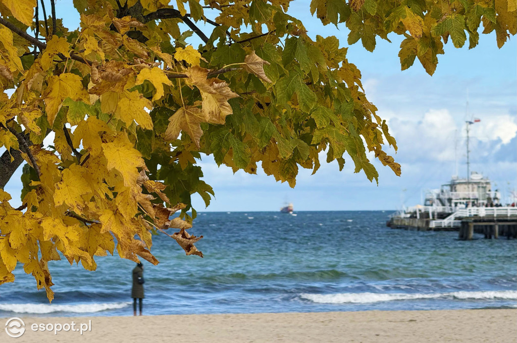 Sopot zachwyca kolorami na jesiennych zdjęciach [FOTO]