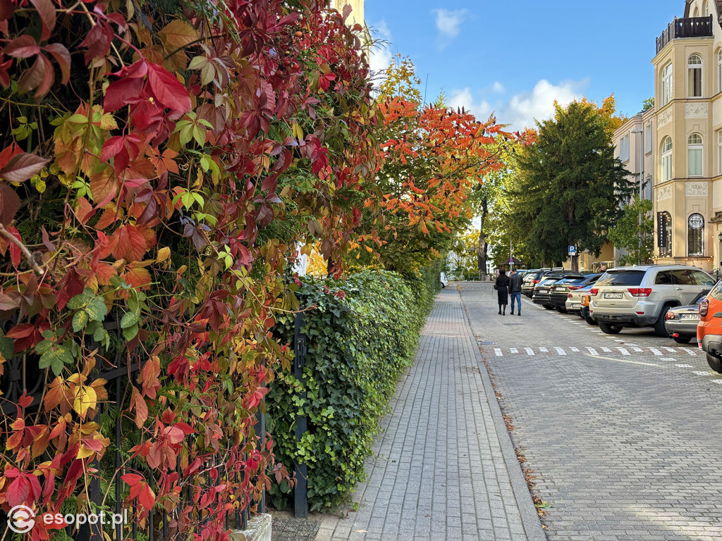 Sopot zachwyca kolorami na jesiennych zdjęciach [FOTO]