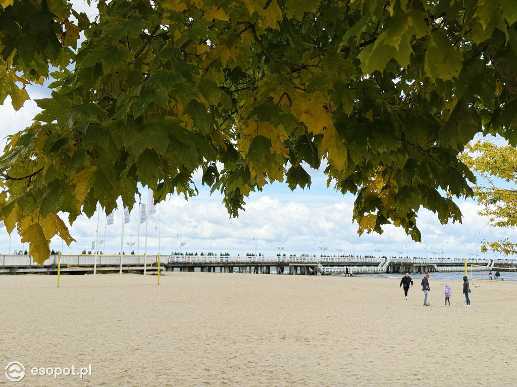 Sopot zachwyca kolorami na jesiennych zdjęciach [FOTO]