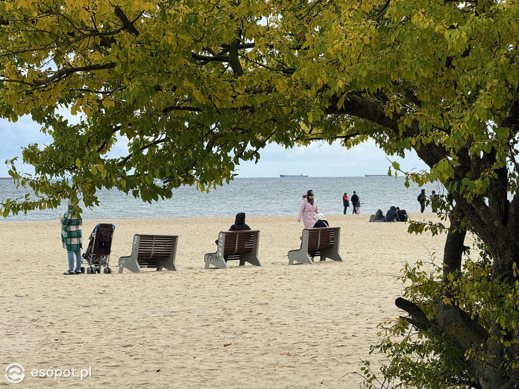 Sopot zachwyca kolorami na jesiennych zdjęciach [FOTO]