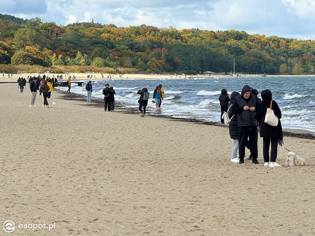 Sopot zachwyca kolorami na jesiennych zdjęciach [FOTO]