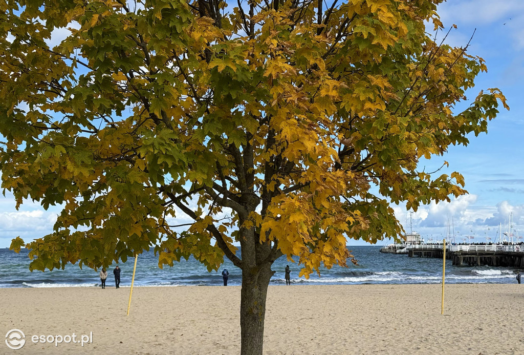 Sopot zachwyca kolorami na jesiennych zdjęciach [FOTO]