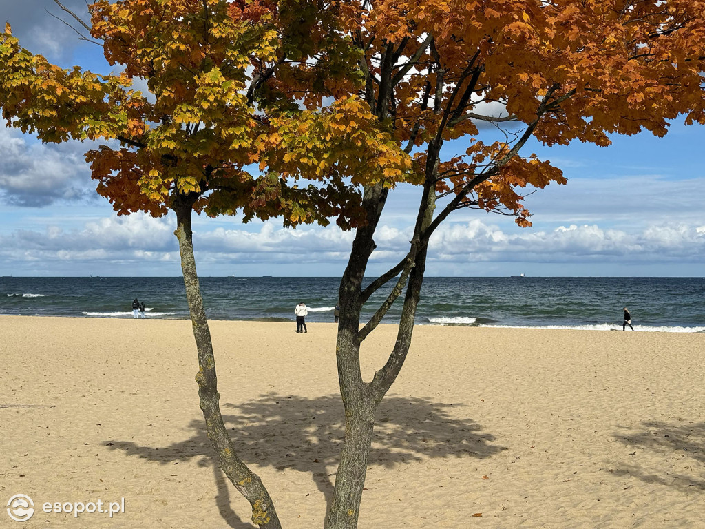 Sopot zachwyca kolorami na jesiennych zdjęciach [FOTO]