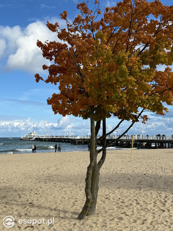 Sopot zachwyca kolorami na jesiennych zdjęciach [FOTO]
