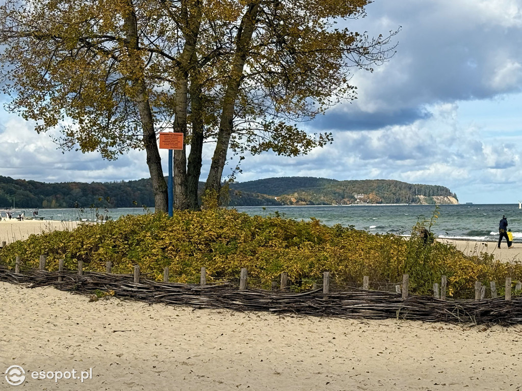 Sopot zachwyca kolorami na jesiennych zdjęciach [FOTO]