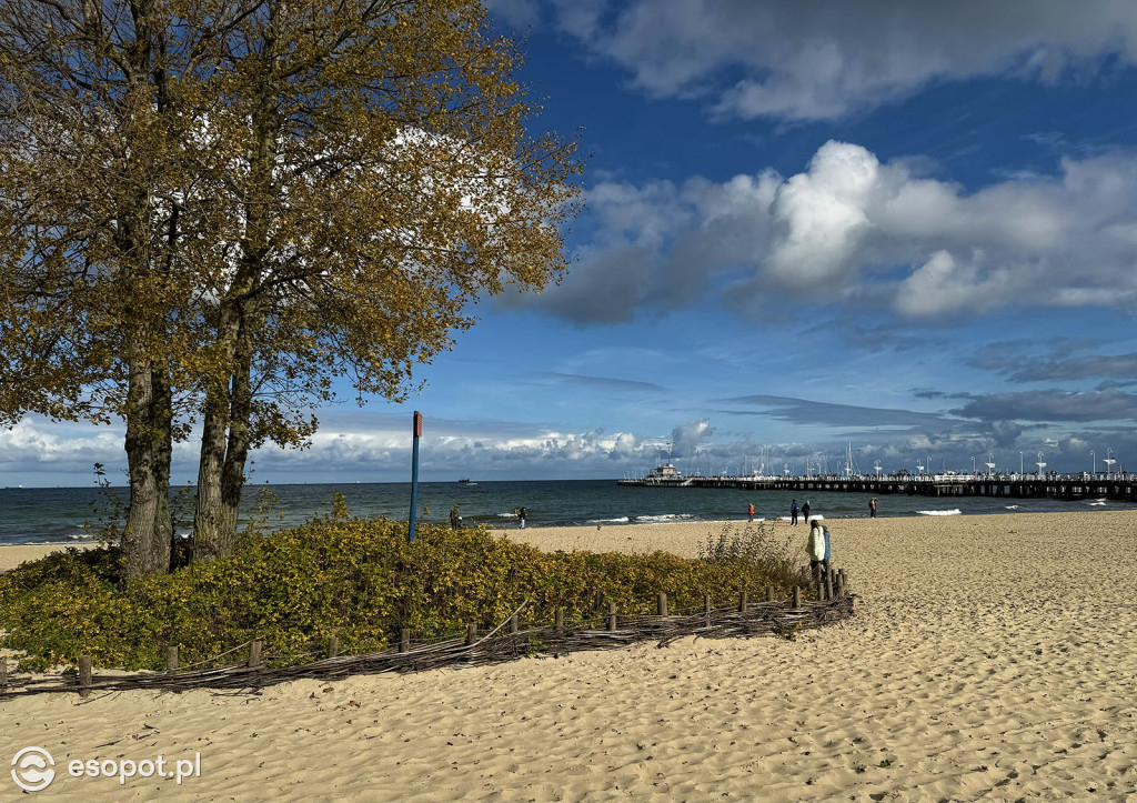 Sopot zachwyca kolorami na jesiennych zdjęciach [FOTO]