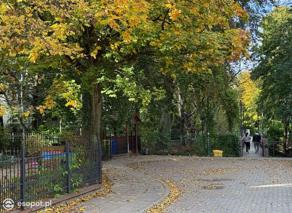 Sopot zachwyca kolorami na jesiennych zdjęciach [FOTO]
