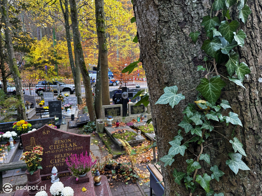 Wszystkich Świętych w Sopocie. Tysiące zniczy i tłumy na cmentarzach [FOTO]