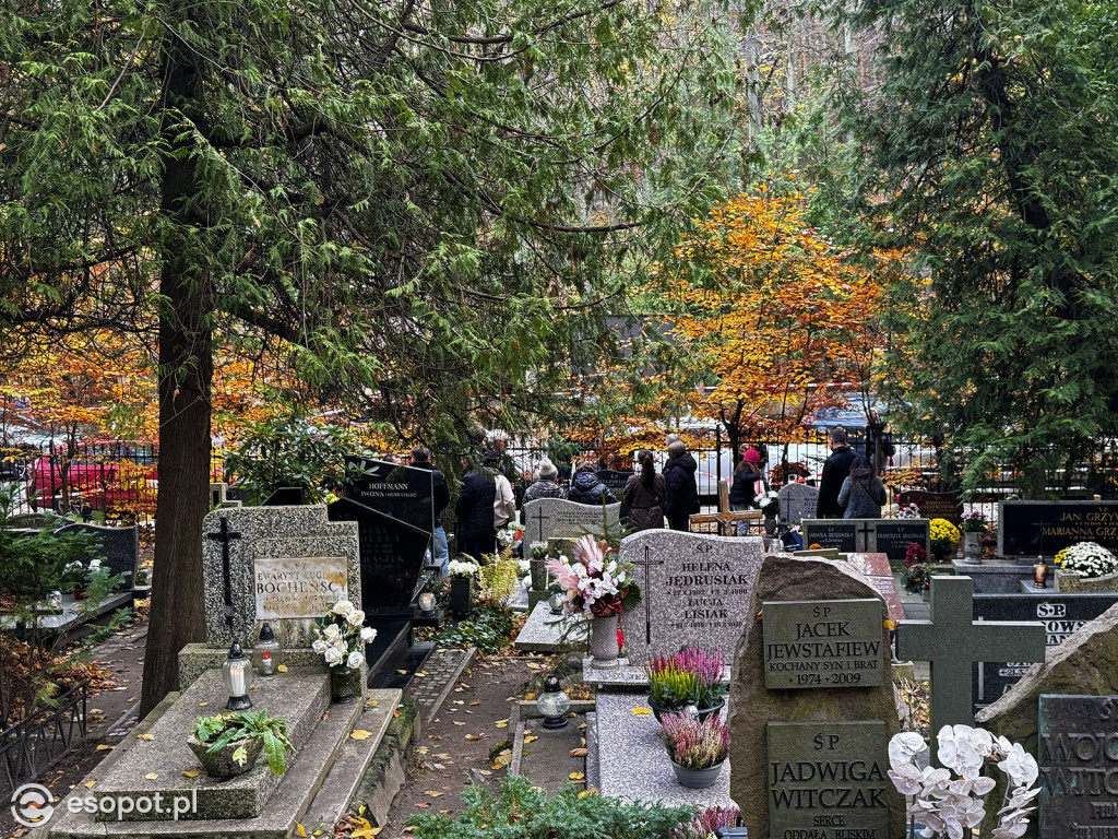 Wszystkich Świętych w Sopocie. Tysiące zniczy i tłumy na cmentarzach [FOTO]