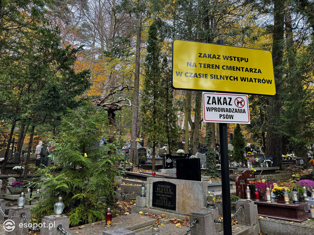 Wszystkich Świętych w Sopocie. Tysiące zniczy i tłumy na cmentarzach [FOTO]