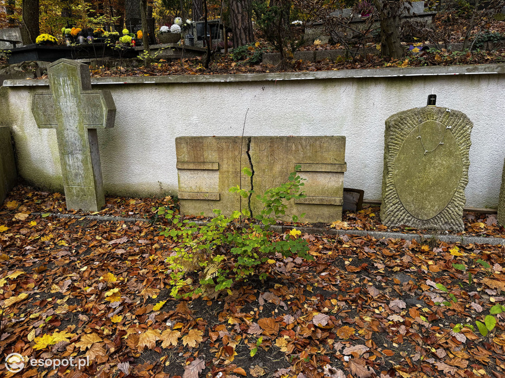 Wszystkich Świętych w Sopocie. Tysiące zniczy i tłumy na cmentarzach [FOTO]