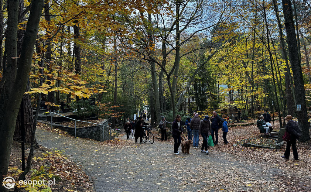 Wszystkich Świętych w Sopocie. Tysiące zniczy i tłumy na cmentarzach [FOTO]