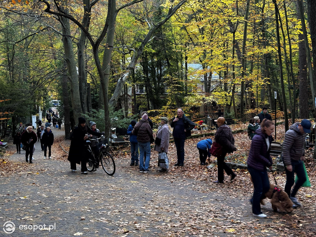 Wszystkich Świętych w Sopocie. Tysiące zniczy i tłumy na cmentarzach [FOTO]