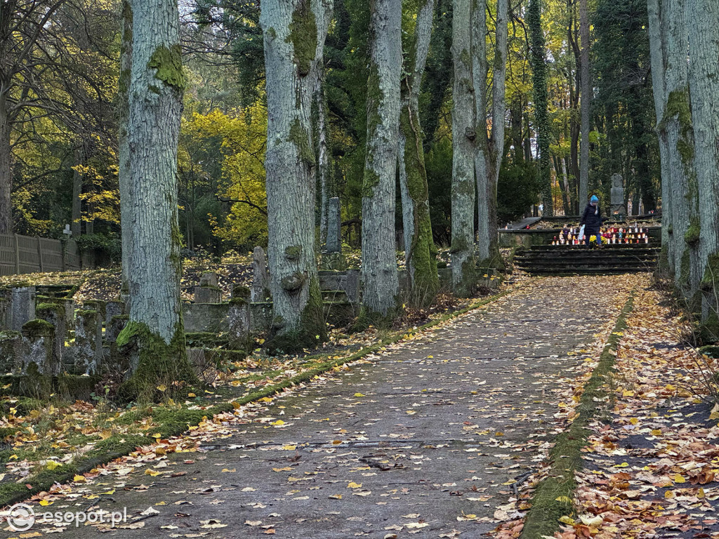 Wszystkich Świętych w Sopocie. Tysiące zniczy i tłumy na cmentarzach [FOTO]