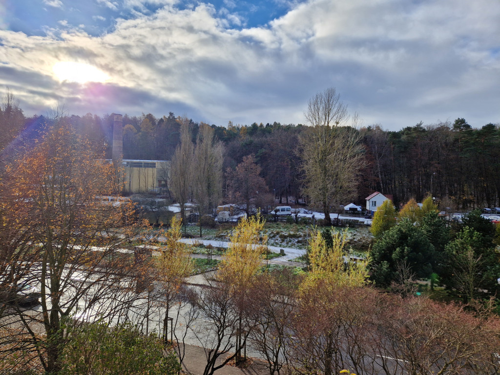 Pierwszy śnieg tej jesieni w Sopocie! Ulotna biała pierzynka na Brodwinie [FOTO]