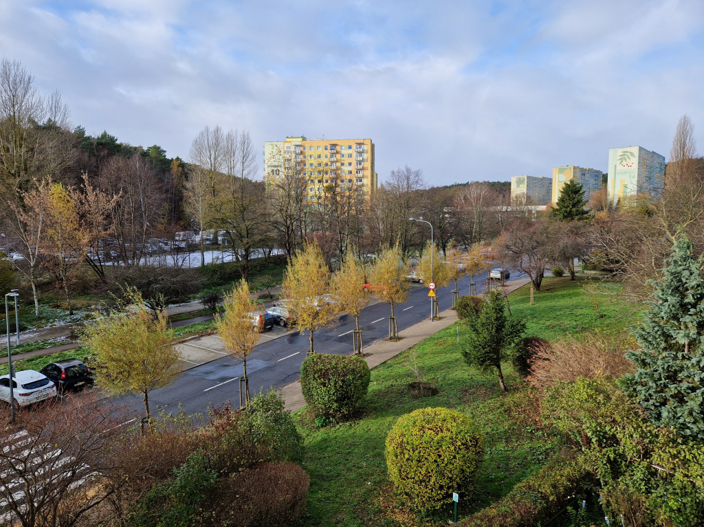 Pierwszy śnieg tej jesieni w Sopocie! Ulotna biała pierzynka na Brodwinie [FOTO]