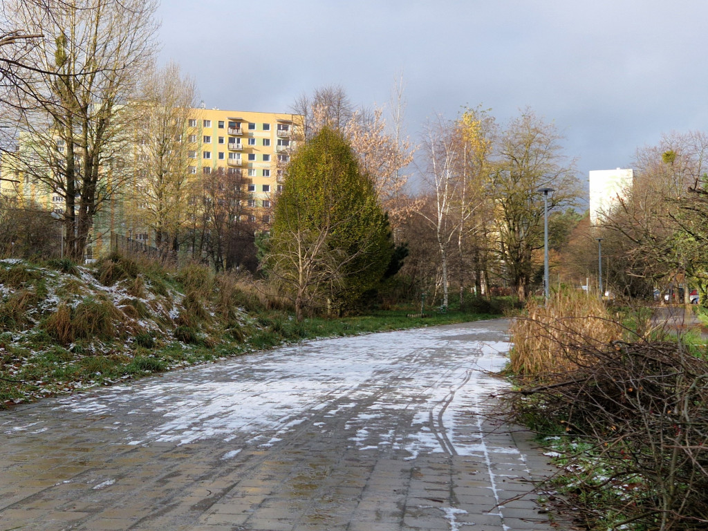 Pierwszy śnieg tej jesieni w Sopocie! Ulotna biała pierzynka na Brodwinie [FOTO]