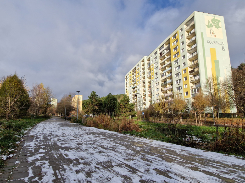 Pierwszy śnieg tej jesieni w Sopocie! Ulotna biała pierzynka na Brodwinie [FOTO]