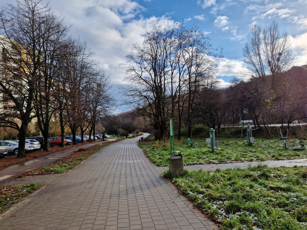 Pierwszy śnieg tej jesieni w Sopocie! Ulotna biała pierzynka na Brodwinie [FOTO]
