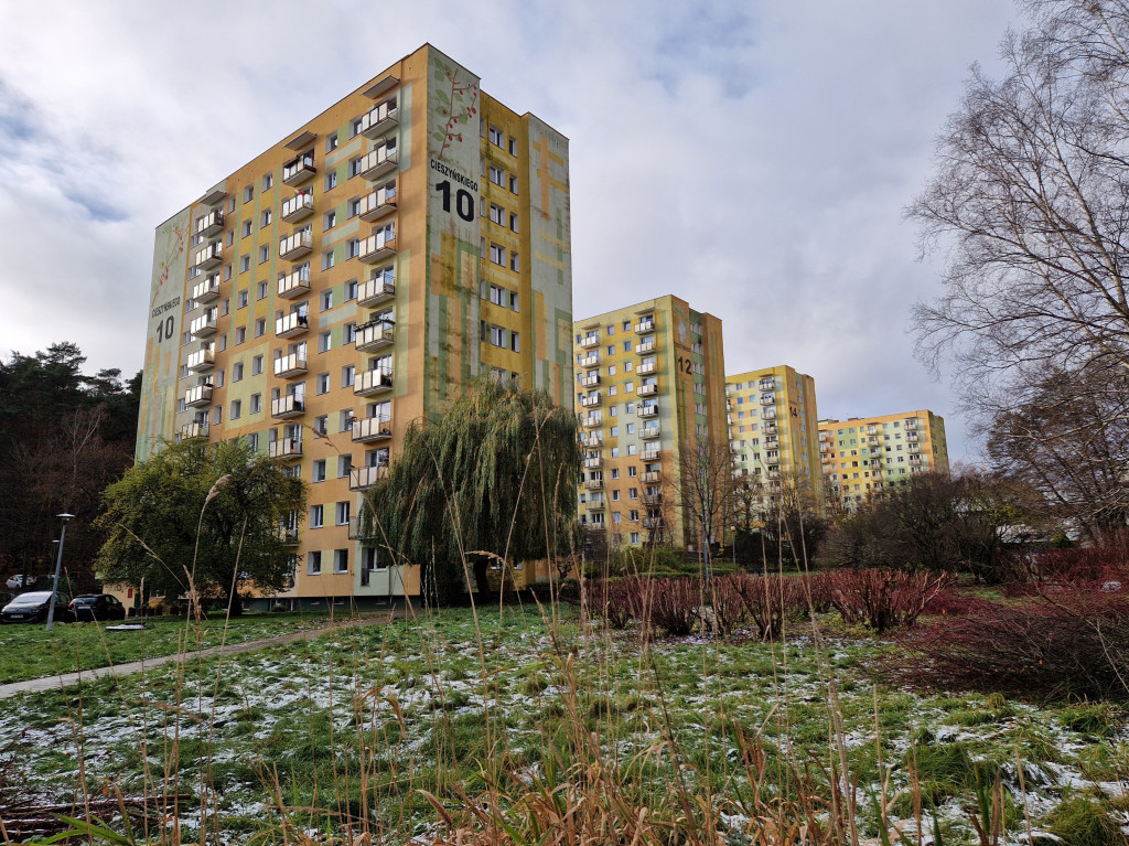 Pierwszy śnieg tej jesieni w Sopocie! Ulotna biała pierzynka na Brodwinie [FOTO]