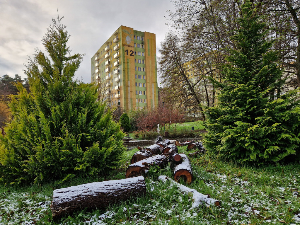 Pierwszy śnieg tej jesieni w Sopocie! Ulotna biała pierzynka na Brodwinie [FOTO]