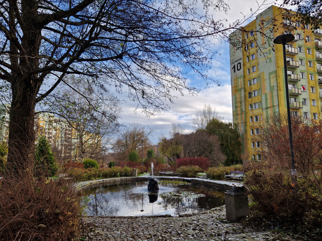 Pierwszy śnieg tej jesieni w Sopocie! Ulotna biała pierzynka na Brodwinie [FOTO]